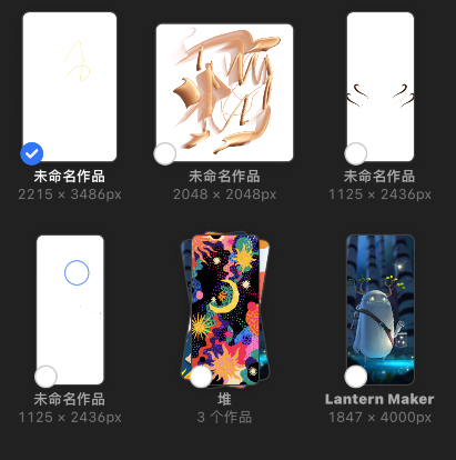 procreate pocket怎么预览作品？procreate pocket预览图片教程 热门软件技巧教程和常见应用问题