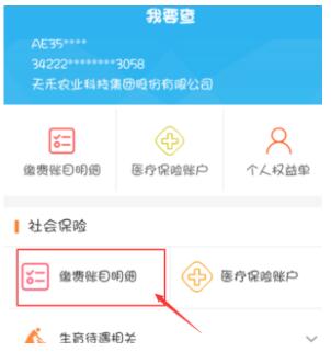 支付宝怎么查询养老保险缴费记录?支付宝查询养老保险缴费记录的方法 热门软件技巧教程和常见应用问题