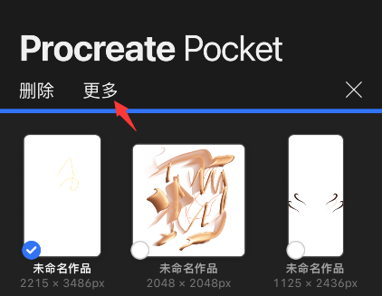 procreate pocket怎么预览作品？procreate pocket预览图片教程 热门软件技巧教程和常见应用问题