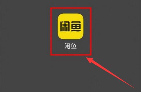 闲鱼怎么进行意见反馈 闲鱼进行意见反馈的方法 热门软件技巧解析教程和日常应用问题教程