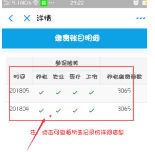 支付宝怎么查询养老保险缴费记录?支付宝查询养老保险缴费记录的方法 热门软件技巧教程和常见应用问题