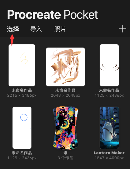 procreate pocket怎么预览作品？procreate pocket预览图片教程 热门软件技巧教程和常见应用问题