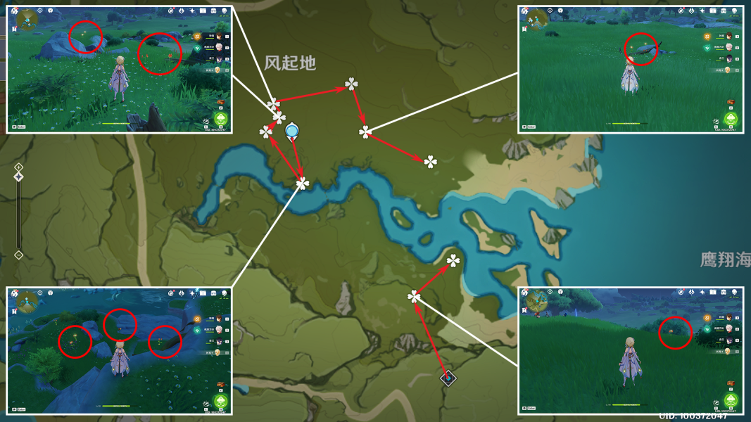 原神风车菊分布图汇总 热门手机游戏秘籍攻略教程技巧解析