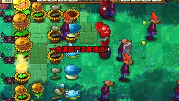 植物大战僵尸杂交版：冒险39关，智破僵尸潮，策略至上！