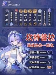 《鸣潮坎特蕾拉：声骸选择策略》