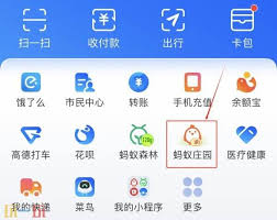 小鸡宝宝考考你：蛇皮果是否真的长在高大树上？