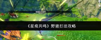 星痕共鸣野猪打法攻略：技巧与策略解析