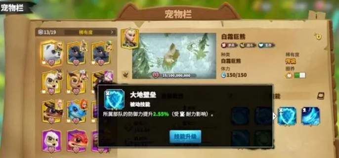《万龙觉醒宠物攻略：深度剖析宠物系统，解锁养成奥秘》