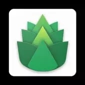 《外网加速器免费版下载：助你轻松突破限制畅连外网》