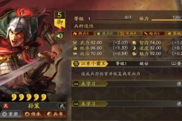 《三国志战略版新版孙策阵容，揭秘新孙策最强搭配推荐》