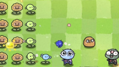 《揭秘！植物大战僵尸幼儿园版背后那位神秘的创作者究竟是谁》