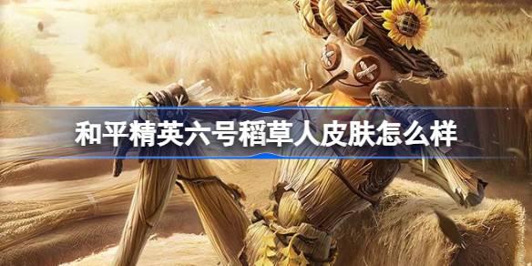 和平精英六号稻草人皮肤多少钱？详细价格介绍一文知晓