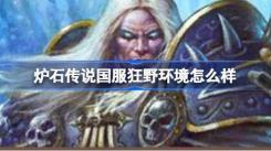 《炉石传说国服回归：深入揭秘当下狂野环境究竟怎么样》