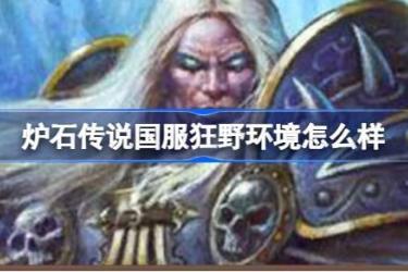 《炉石传说国服回归：深入揭秘当下狂野环境究竟怎么样》
