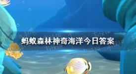 探秘糖果蟹名字由来：色彩、外形与习性交织的独特命名密码