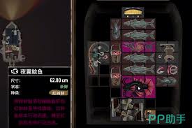 《渔帆暗涌：深度探寻第二种鱼饵包含的各类品种》