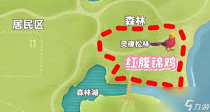 心动小镇新春季第三周：探寻四只鸟位置究竟在何处