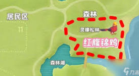 心动小镇新春季第三周：探寻四只鸟位置究竟在何处