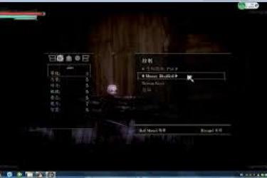 《盐与避难所》长枪流深度剖析：玩法精髓与通关攻略