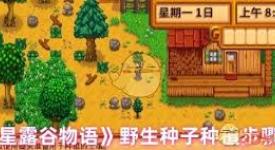 星露谷物语野生种子种植全流程：从播种到收获的秘诀