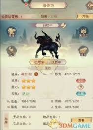 凡人传说妖宠玩法大揭秘：带你探索妖宠养成与战斗之路