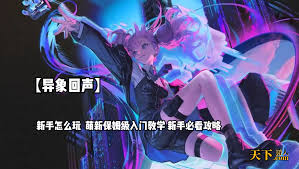 异象回声新手必看！快速升级角色的实用秘籍大公开