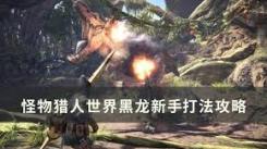最后的起源黑龙技能大揭秘：究竟拥有哪些强力技能？