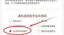 梦幻西游账号忘记怎么查询？快速知晓找回账号的方法