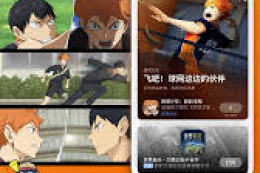 《排球少年新征程：探秘如何开启极具特色的个人信息展示功能 》