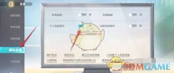 《排球少年新征程：探秘如何开启极具特色的个人信息展示功能 》