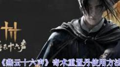 燕云十六声奇术重置丹使用指南：解锁奇妙功效的秘籍