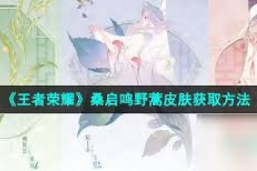王者荣耀桑启鸣野蒿传说皮肤领取攻略，一文知晓领取方法