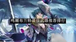 《鸣潮布兰特武器选择全解析，助你打造强力战斗攻略》