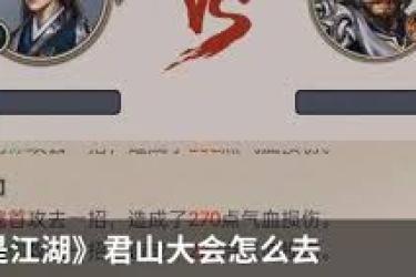 《这就是江湖：新手巧妙攻略，轻松玩转君山大会秘籍》