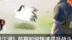 《这就是江湖：枪萌新必看！从零开启畅玩江湖的秘籍》