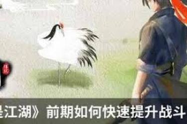 《这就是江湖：枪萌新必看！从零开启畅玩江湖的秘籍》