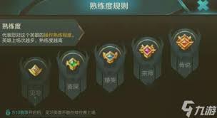 《探秘王者红标熟练度背后：究竟需历经怎样磨炼方可达成？ 》