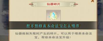 想不想修真：揭秘本命法宝喂养方法与要点