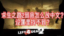 求生之路2语言更改方法大揭秘：助你轻松切换语言