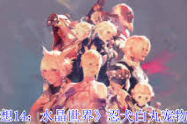 《最终幻想14水晶世界：忍犬白丸宠物获取方法全解析 》