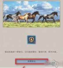 《这就是江湖相马攻略详解：全方位揭秘相马技巧与要点》