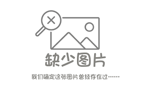 芯片狼究竟存在多少种形态？全面解析来啦