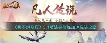 想不想修真法会玩法全解析：从入门到精通的详尽攻略