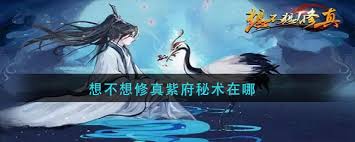 想不想修真：探寻紫府位置，解锁神秘玩法新体验