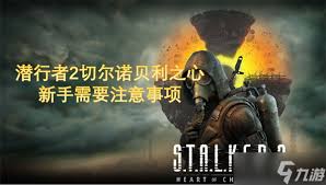 《深度剖析：潜行者2异常现象机制的全面解读与细节探秘》