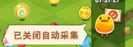 小森灵自动采集功能怎么关？教你轻松实现关闭自动采集