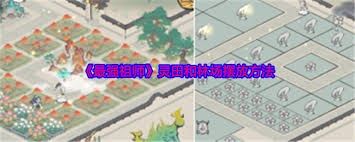 最强祖师灵田摆放揭秘：打造顶级布局的独家攻略