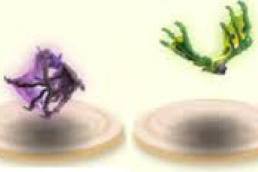 梦幻西游召唤兽宠物饰品染色全攻略：方法与效果大揭秘