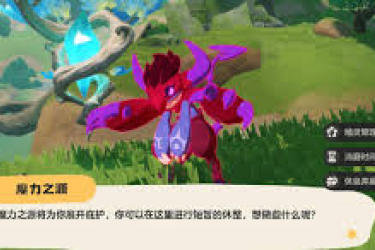 洛克王国世界：宠物放生全流程与关键要点解析