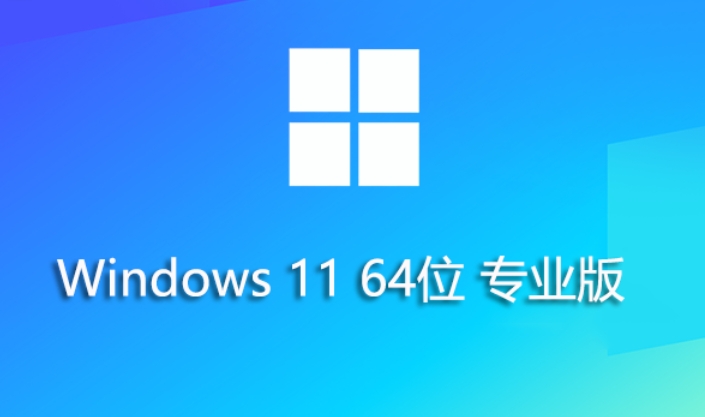 Windows 11 64位23H2专业纯净版安装方法及步骤解析